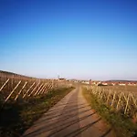 Appartement In Alsace Near Europa-park *