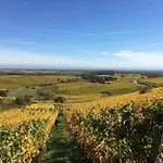 In Alsace Near Europa-park Dambach