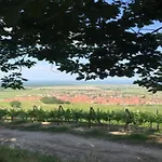 Appartement In Alsace Near Europa-park