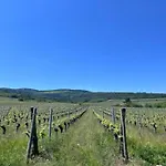 Appartement In Alsace Near Europa-park *