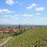 In Alsace Near Europa-park Appartement Dambach