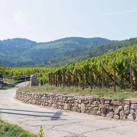 Appartamento In Alsace Near Europa-park