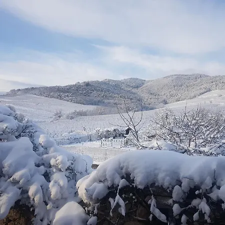 Stunning In Heart Of La Dambach