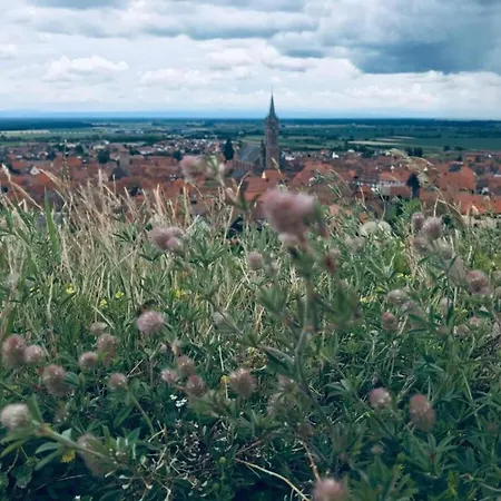 In Alsace Near Europa-park Apartment *