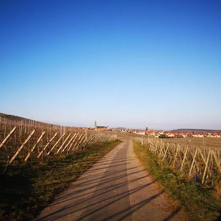 Appartamento In Alsace Near Europa-park *