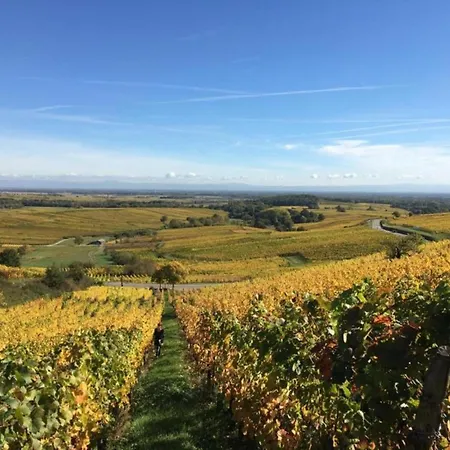 Stunning In Heart Of La Dambach