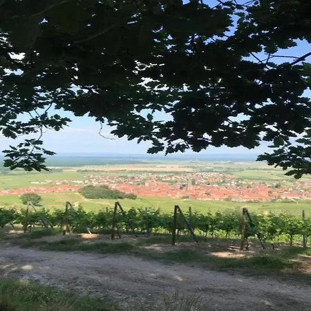 Appartamento In Alsace Near Europa-park