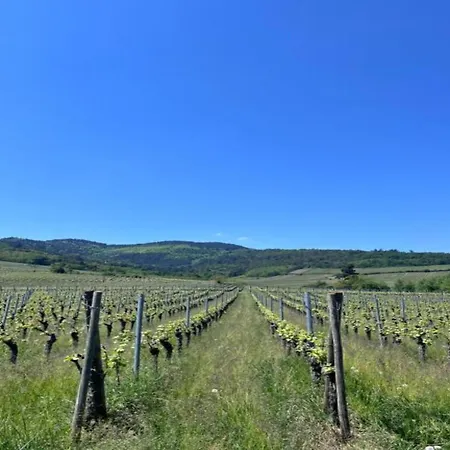 Appartamento In Alsace Near Europa-park *