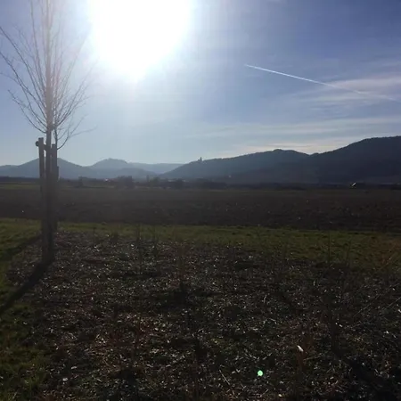 In Alsace Near Europa-park Appartamento