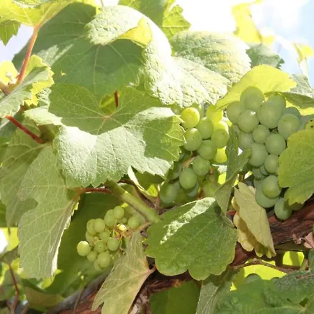 아파트 Stunning In Heart Of La *