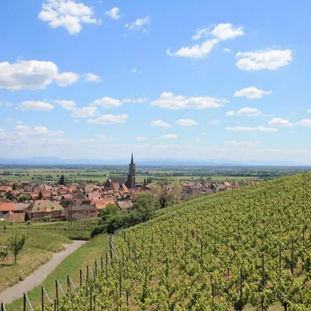 In Alsace Near Europa-park Appartamento Dambach