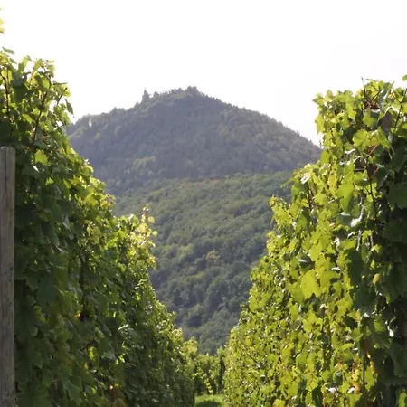 In Alsace Near Europa-park * Dambach