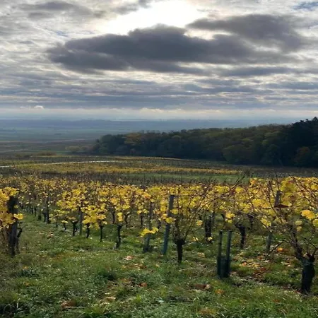 Appartamento In Alsace Near Europa-park