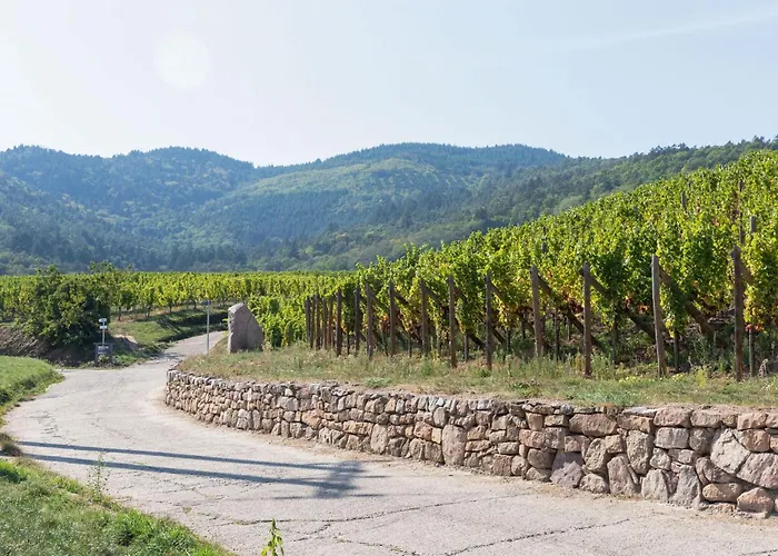 Apartment In Alsace Near Europa-park