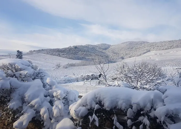 In Alsace Near Europa-park Dambach-la-Ville