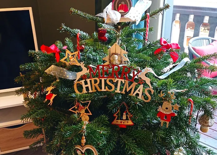 In Alsace Near Europa-park * Dambach-la-Ville