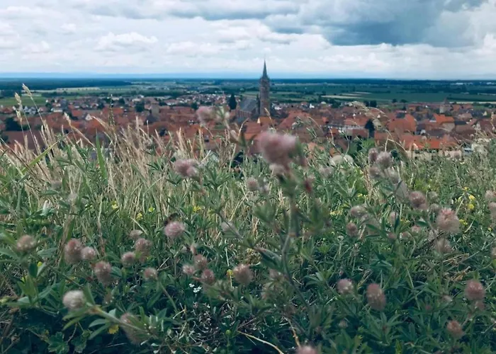 In Alsace Near Europa-park Apartment *