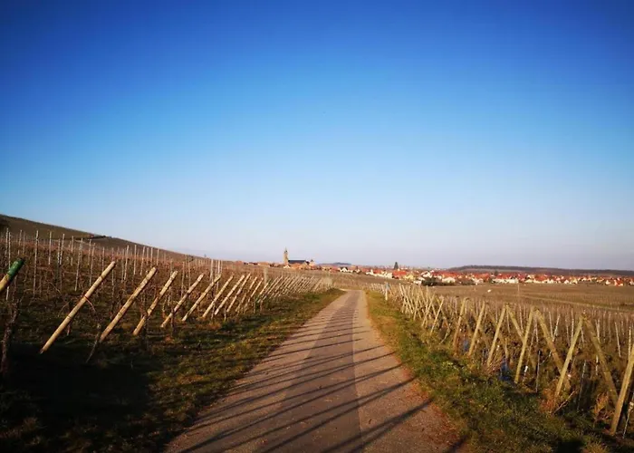 Apartment In Alsace Near Europa-park *