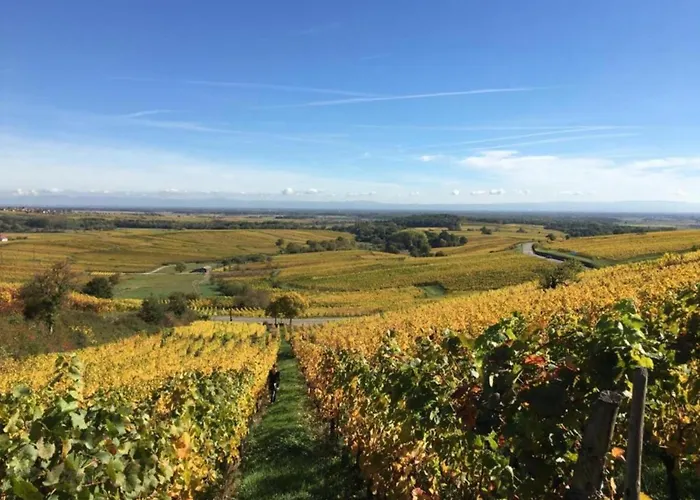 In Alsace Near Europa-park Dambach-la-Ville