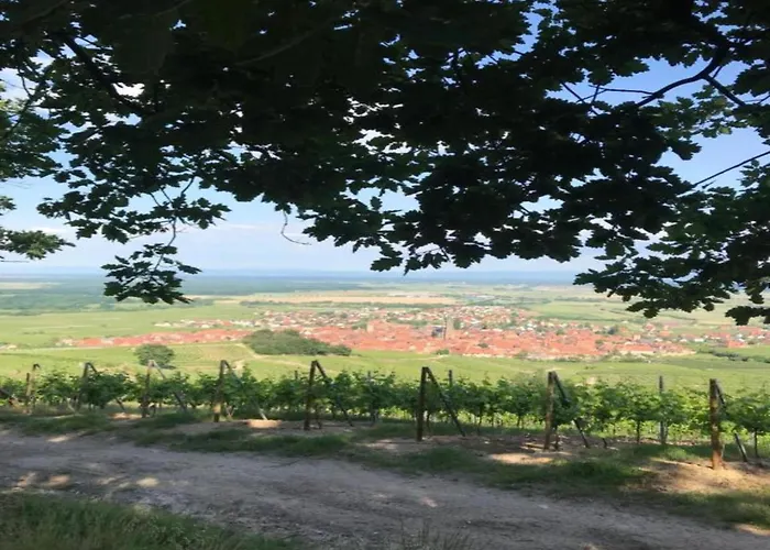 Apartment In Alsace Near Europa-park