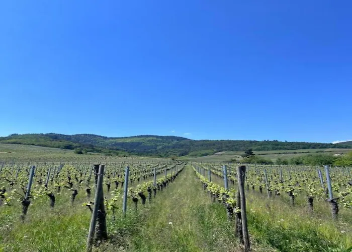 アパート In Alsace Near Europa-park *