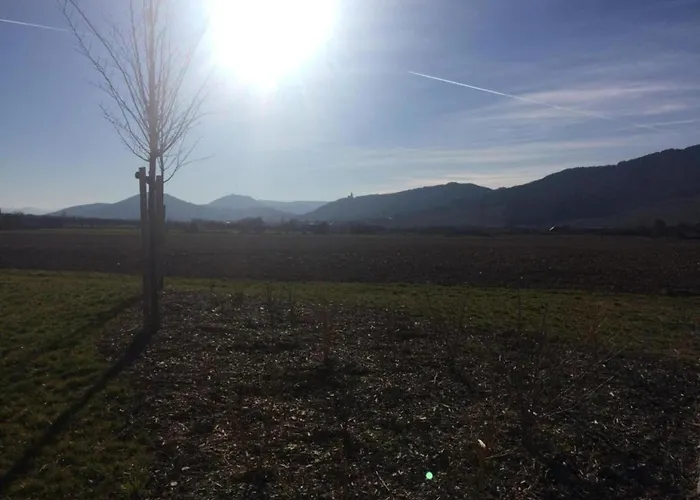 In Alsace Near Europa-park Apartment