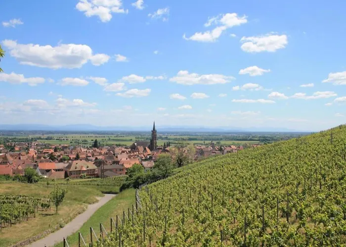 In Alsace Near Europa-park アパート Dambach