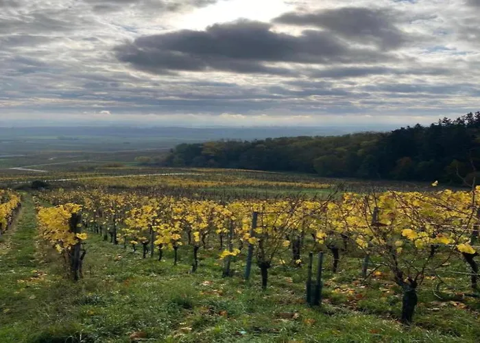 Apartment In Alsace Near Europa-park